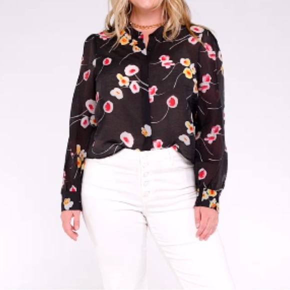 Cabi Greenhouse Blouse, size medium , spring 2024